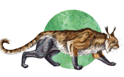 Morgan le Fay and the Cat